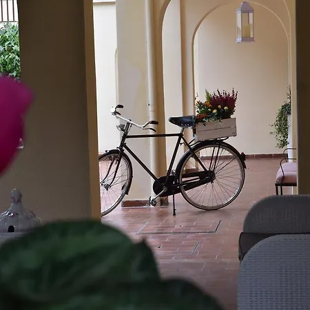 Delle Magnolie Treviso